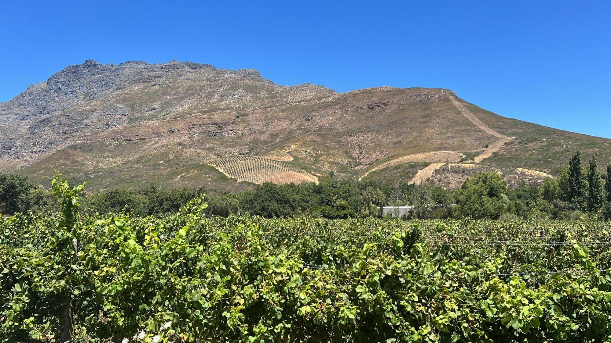 Charming One Bed With Vineyard & Mountain Views *