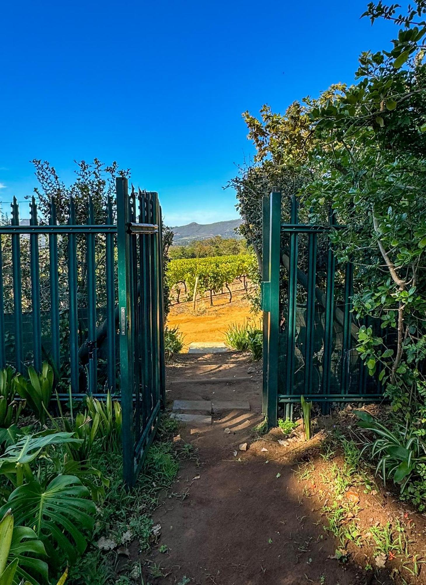 Charming One Bed With Vineyard & Mountain Views Cape Town