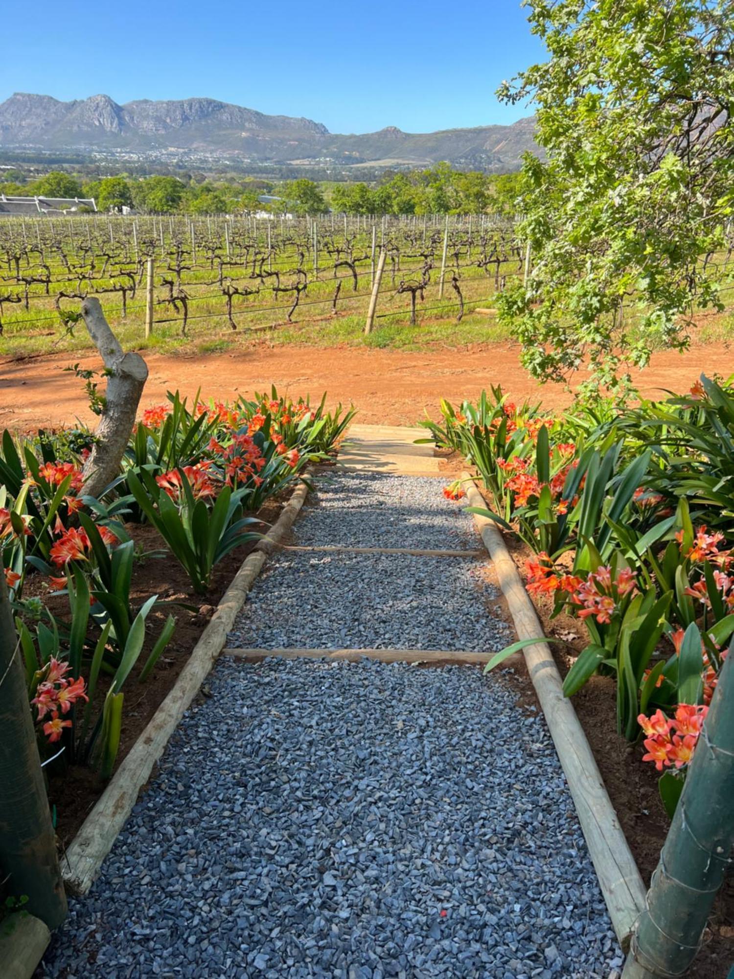 Charming One Bed With Vineyard & Mountain Views Cape Town
