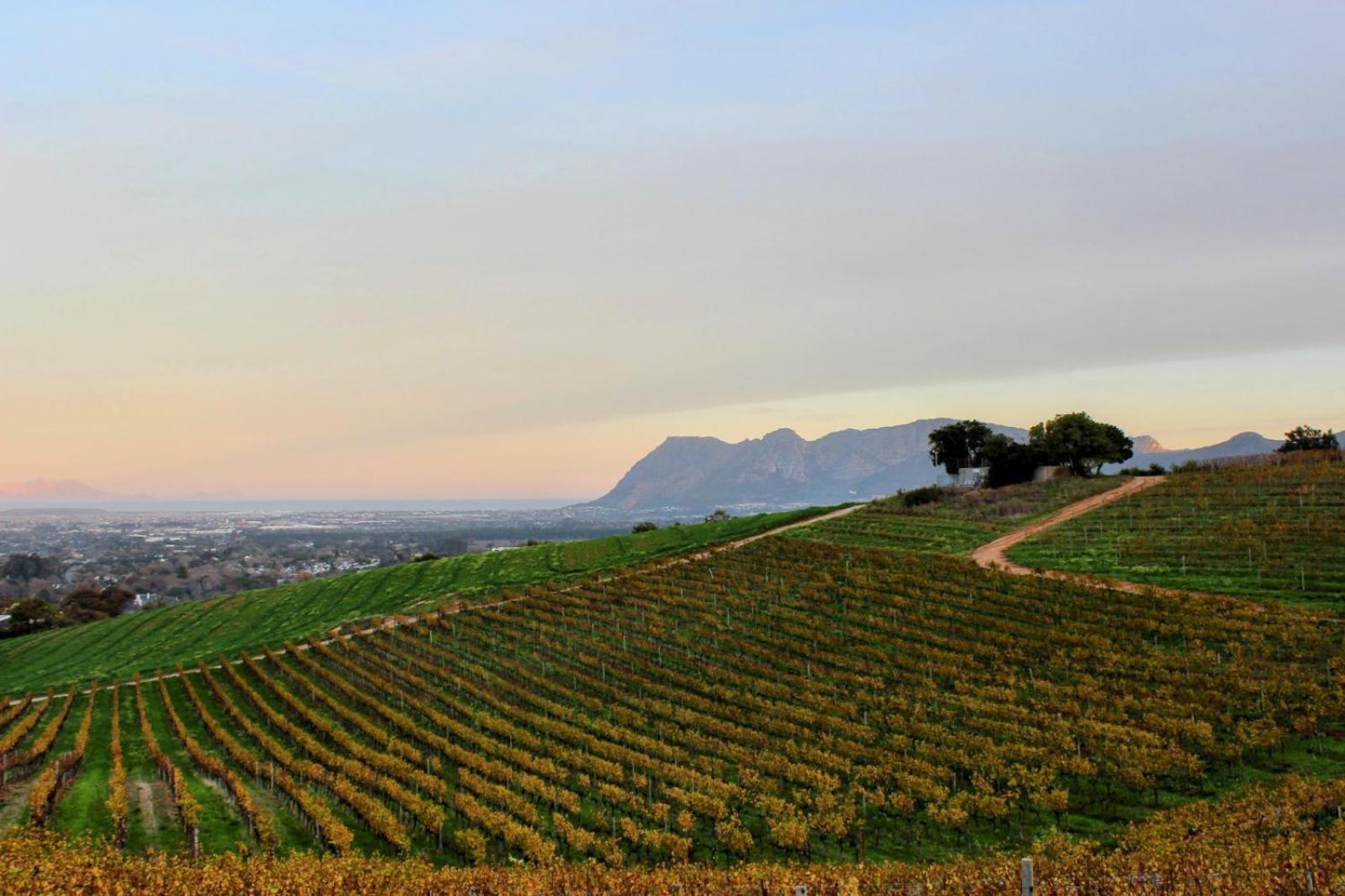 Holiday home Charming One Bed With Vineyard & Mountain Views