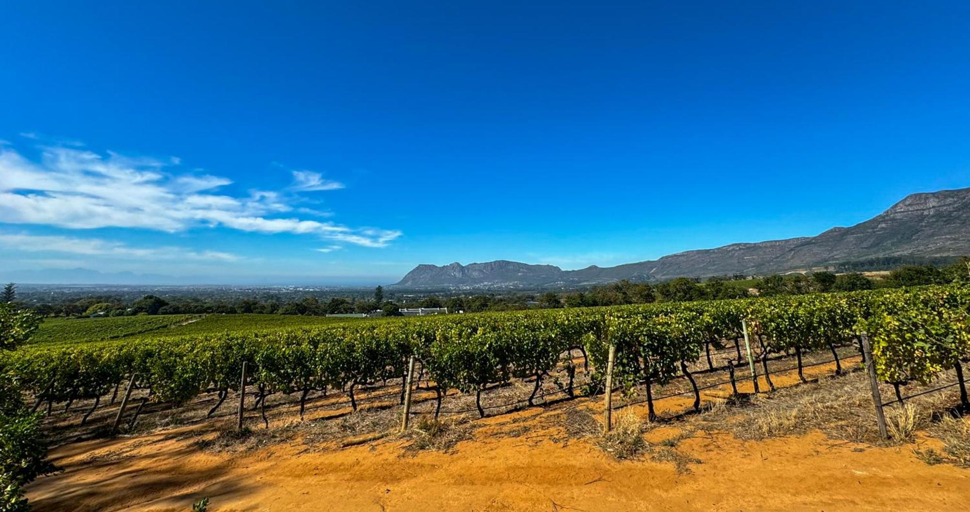Charming One Bed With Vineyard & Mountain Views *