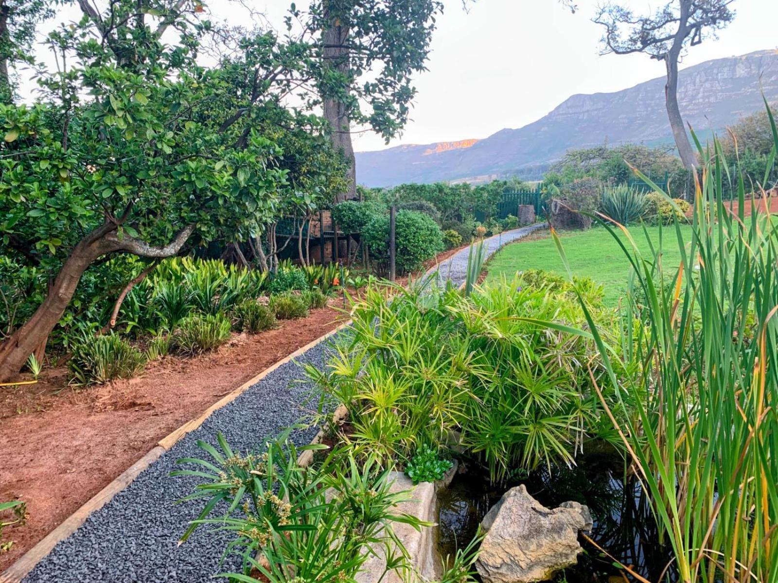 Charming One Bed With Vineyard & Mountain Views Holiday home Cape Town
